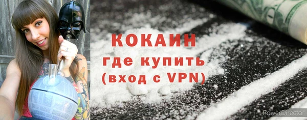 прущие грибы Баксан