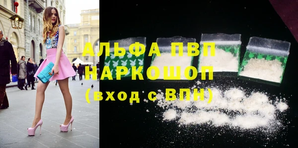 прущие грибы Баксан